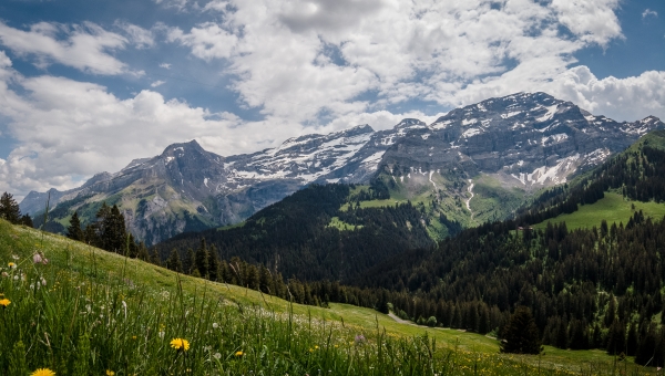 Elections communales vaudoises 2026: quels enjeux pour la commune d'Ormont-Dessus?
